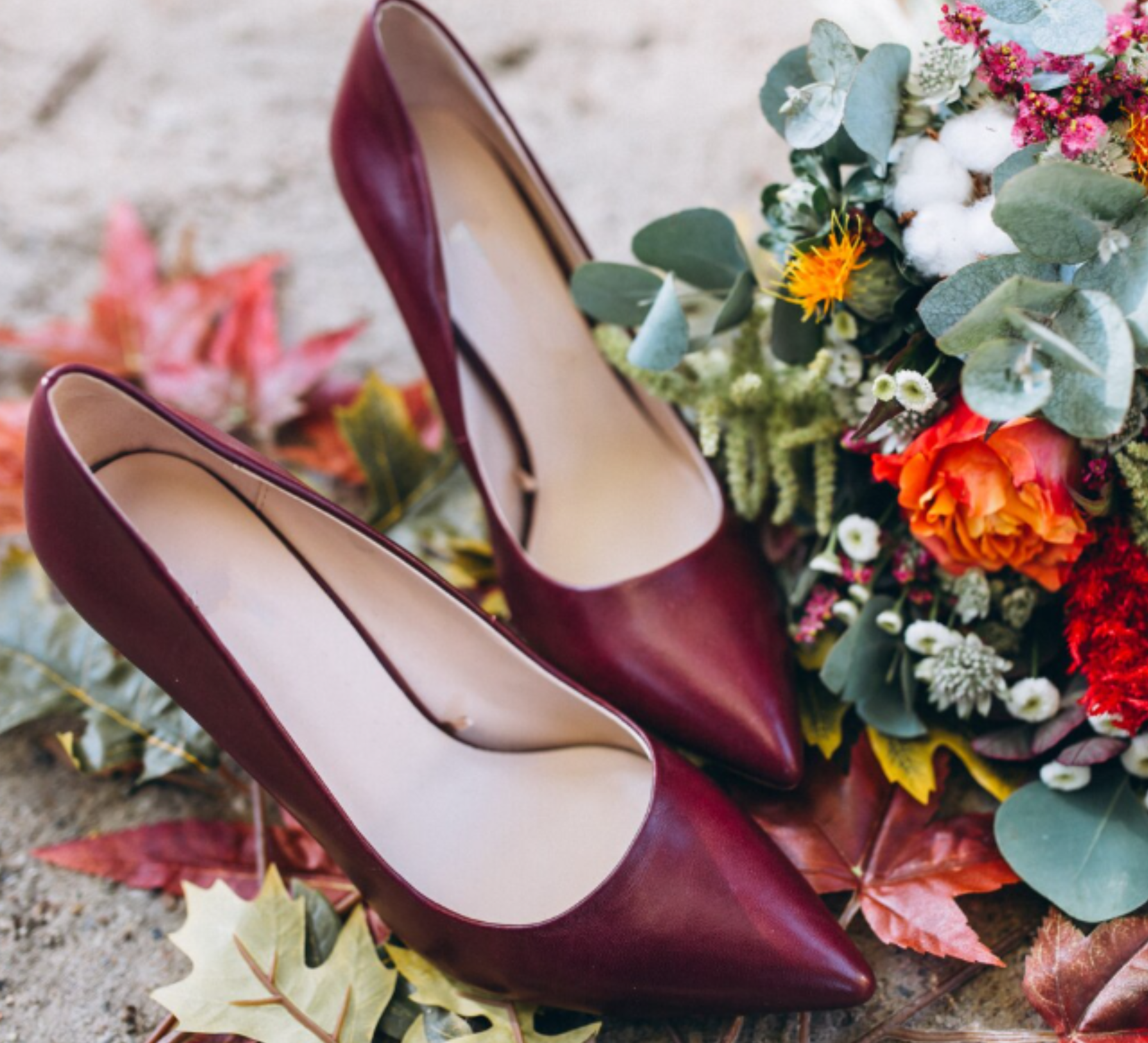 The Ultimate Guide to Shopping at GoVa Shoes – Stylish Footwear for Every Occasion