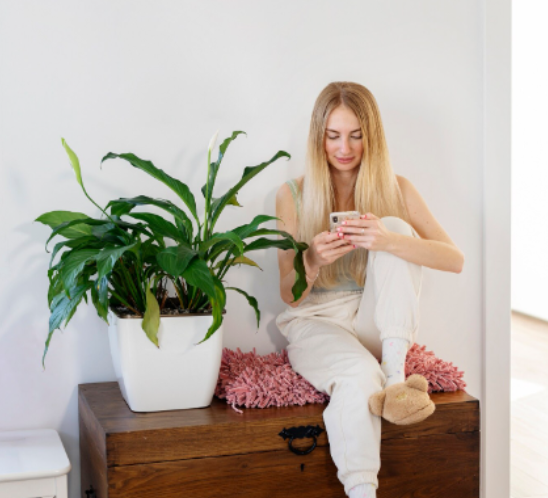 Transform Your Space with CHITA LIVING Style