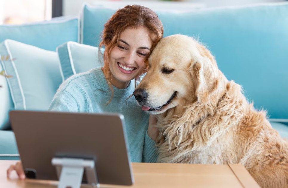 Vetster Review Trusted Online Vet Consultations Anytime | TrendyTempo