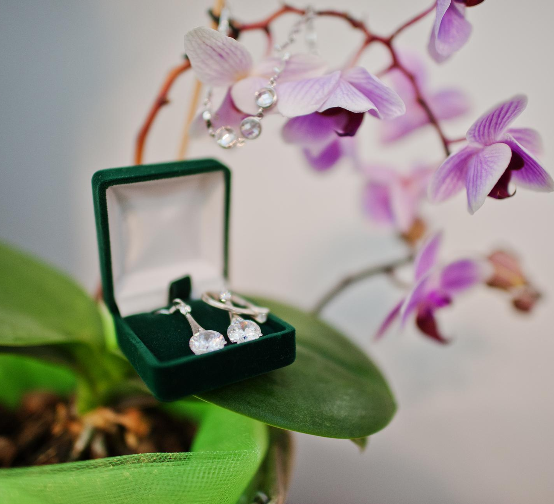 Mint & Lily Review Best Jewelry Picks Guide